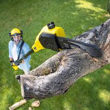 Best Lawn Mowing  in Whitehouse, TX