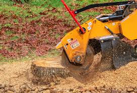 Best Lawn Edging  in Whitehouse, TX